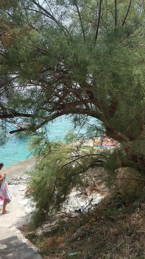 Ciovo Apartments Trogir Croatia